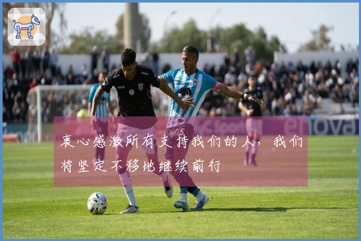 衷心感激所有支持我们的人，我们将坚定不移地继续前行