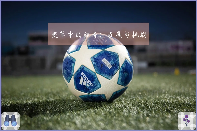 变革中的经济：发展与挑战